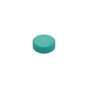 LEGO 98138 Tile Round 1 x 1 (Dark Turquoise)